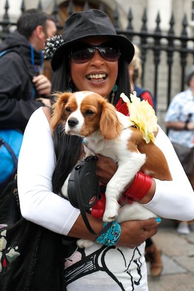 image _mg_4183-jpg