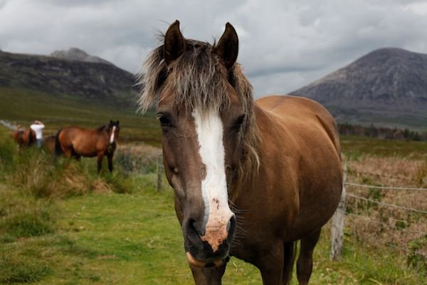 image mournes-108-jpg