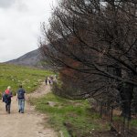image mournes-105-jpg